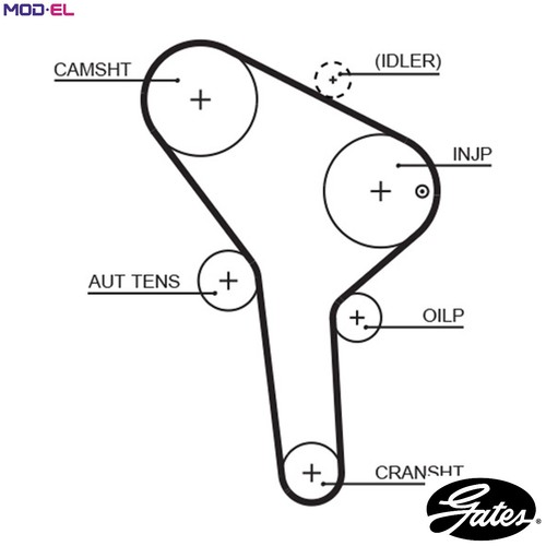 Timing belt 5564xs for - timing, skoda